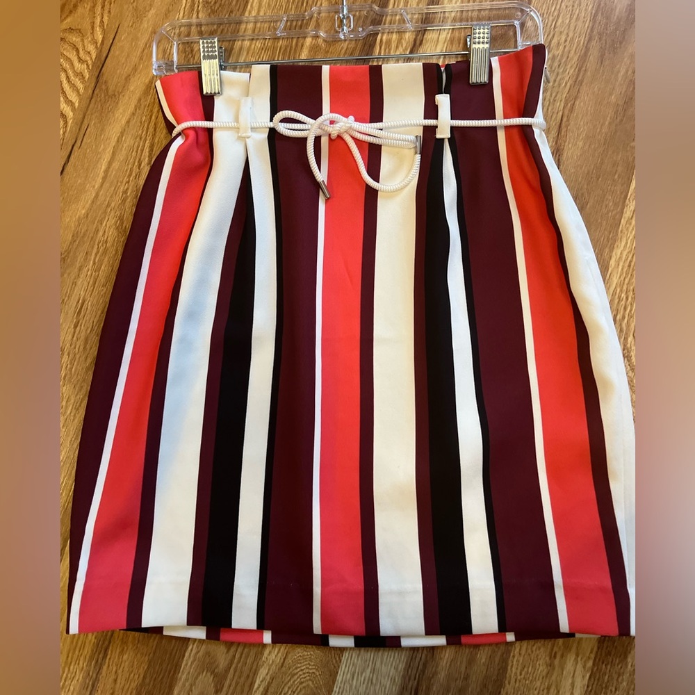 Express Multicolor Striped Pencil Skirt